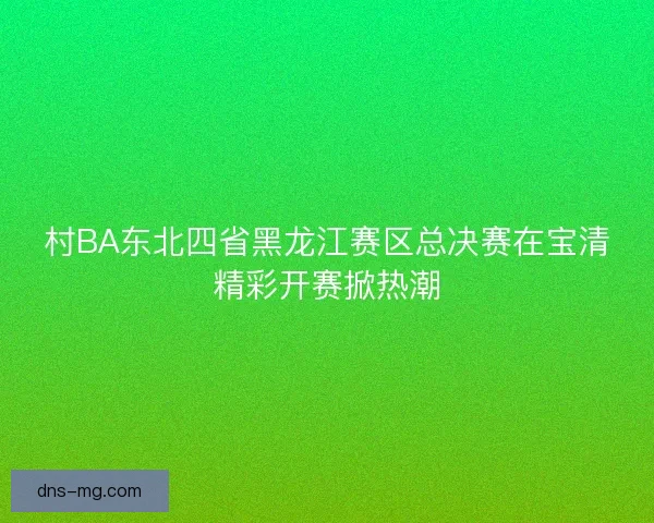 村BA东北四省黑龙江赛区总决赛在宝清精彩开赛掀热潮